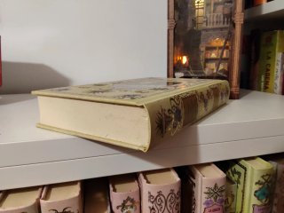 Libro caballos