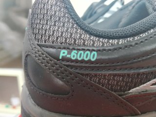 Nike P-6000