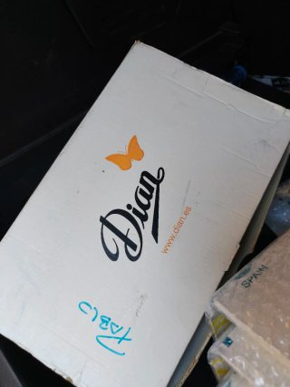 Zapatos de trabajo Dian