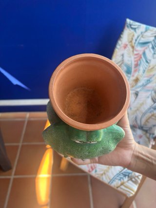 Maceta de barro con diseño de rana