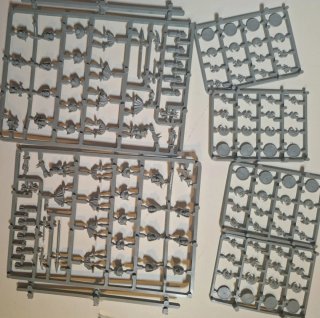 Warhammer Regimiento Goblins Nocturnos