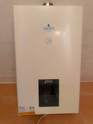 Calentador de Gas Zeus Termo