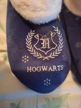 Zapatillas Harry Potter Talla 37