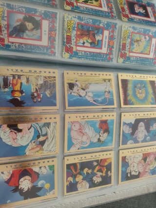 Álbum Cartas Dragon Ball Z Panini
