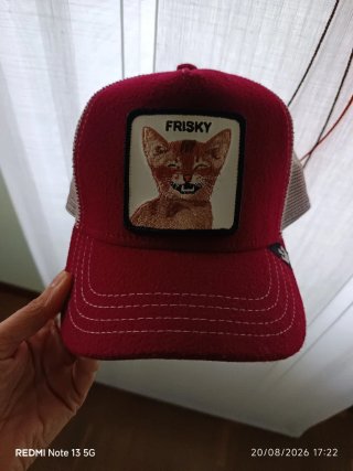 Gorra Goorin Bros Gato Frisky