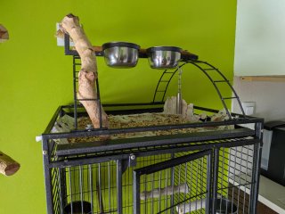 Jaula Acero Loros 150x50x50