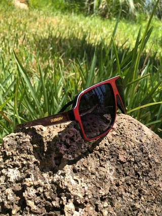 Gafas de sol Carrera rojas y negras