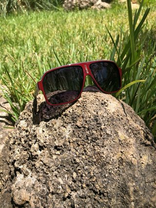 Gafas de sol Carrera rojas y negras