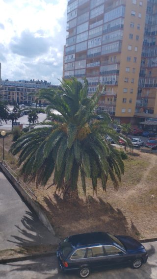 Alquilo  piso