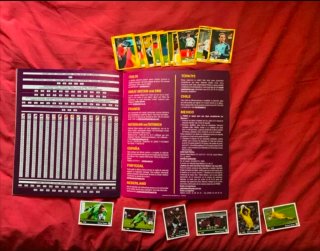 Album completo Panini Euro 2012
