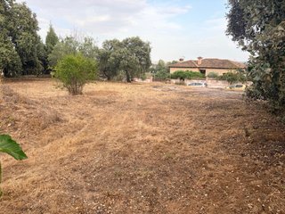 Parcela urbana