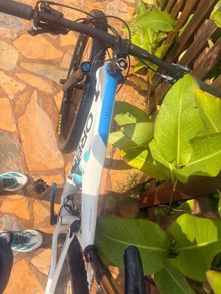 Orbea Oiz M10 Kashima
