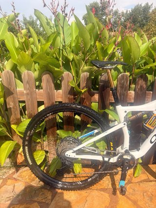 Orbea Oiz M10 Kashima