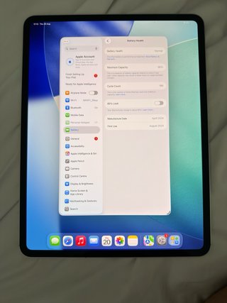 iPad Pro 13 M4 256GB Wifi & Cellular Plata