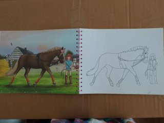 Libro de colorear de la marca Horses Dreams
