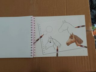 Libro de colorear de la marca Horses Dreams