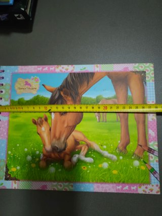 Libro de colorear de la marca Horses Dreams