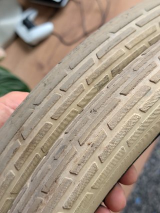 Schwalbe Fat Frank 26x2.35 Crema (2 unidades)