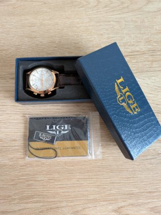Reloj Lige Dorado y Marrón