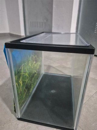 Acuario Acurio