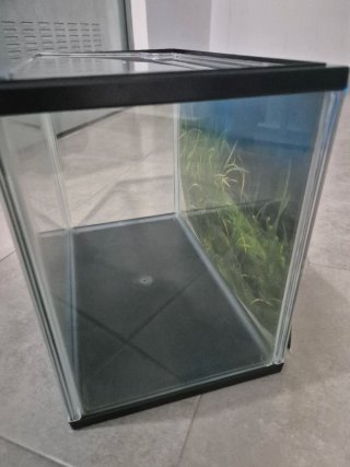 Acuario Acurio