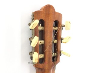 guitarra clasica francisco esteve sin modelo