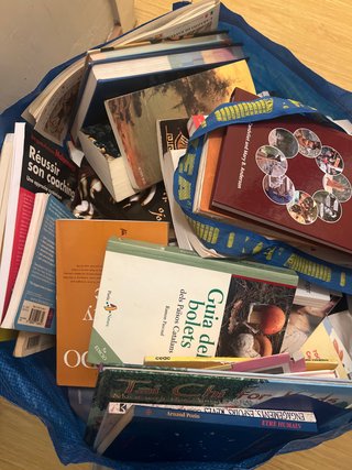 Bolsa de libros, mayoria en Frances, buen estado.