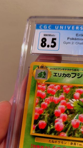Carta Pokémon Erika's Ivysaur 8.5 CGC