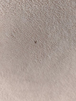 2 Fundas para Sofá Beige