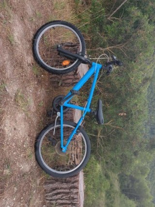 Bicicleta BTWIN 20 pulgadas (niños 6-9 años)