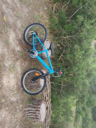 Bicicleta BTWIN 20 pulgadas (niños 6-9 años)