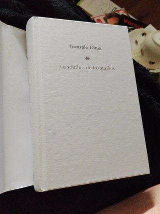 GONZALO GINER, La sombra de los sueños