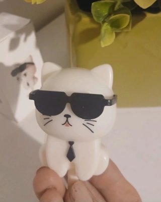 Gancho gato se pone las gafas. Sin estrenar