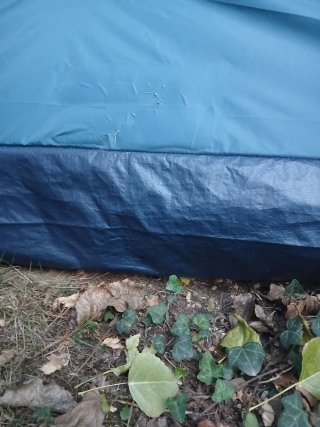 Carpa Quechua Arpenaz Base M