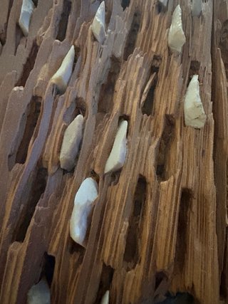 Mesa baja de madera estilo trilla