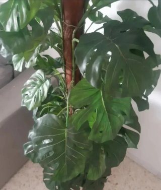 Planta artificial Monstera 1,40m