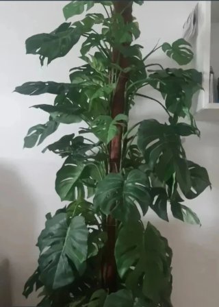 Planta artificial Monstera 1,40m