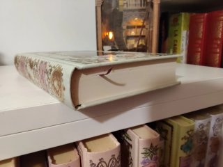 Libro amante