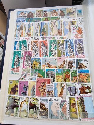 Lote de sellos mundiales fauna,animales
