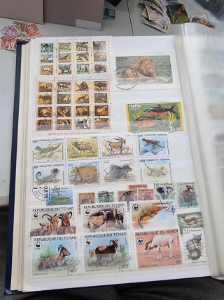 Lote de sellos mundiales fauna,animales