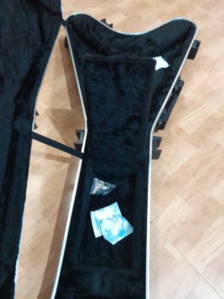 Guitarra Jackson con su estuche