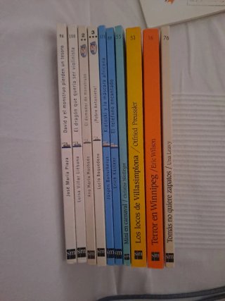 Lote 10 libros Barco de Vapor.