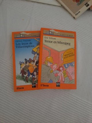 Lote 10 libros Barco de Vapor.