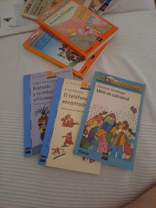 Lote 10 libros Barco de Vapor.