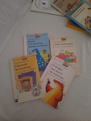 Lote 10 libros Barco de Vapor.