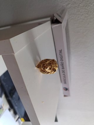Anillo cabeza de león oro.