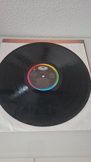 Vinilo Poison Flesh & Blood