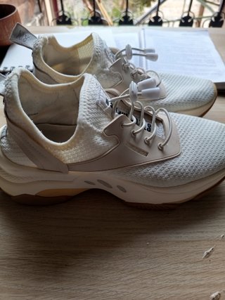 Zapatillas Steve Madden beige/blanco