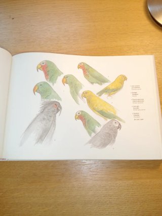 Dibujos de animales