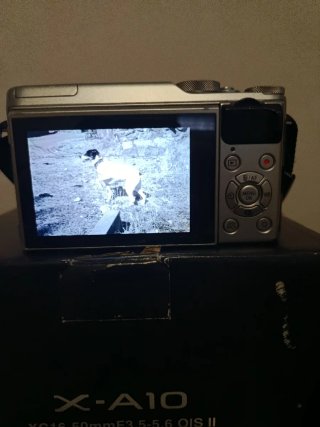 Cambio o vendo Fujifilm X-A10